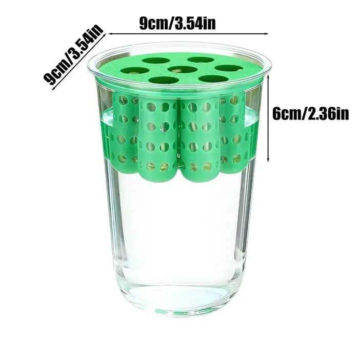 Pot de culture pour la reproduction des oignons verts