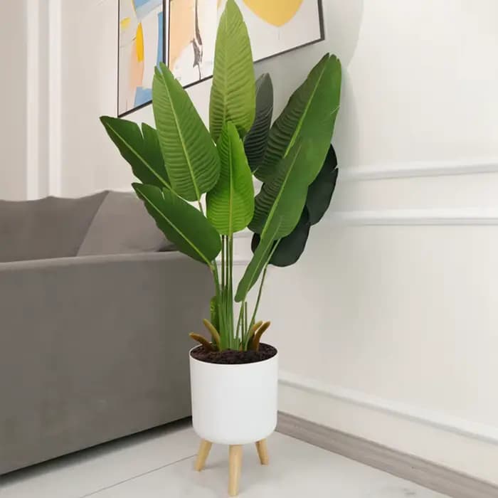 Pots de plantes modernes avec support de pieds en bois, chambre à coucher, salon, sol, pot de fleur