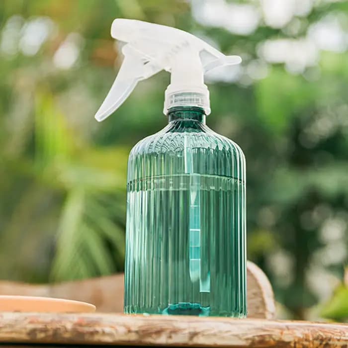 Arrosoir domestique de grande capacité de 500ml, bouilloire de pulvérisation pour plantes, semis à r