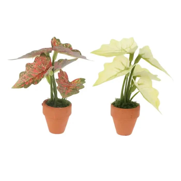 Miniature Plante en Pot Taro Vert 'Turtle Back' pour Maison de Poupées, Modèle de Plante Verte Miniature, Décoration de Jardin et Paysage pour Maison de Poupées, Jouet