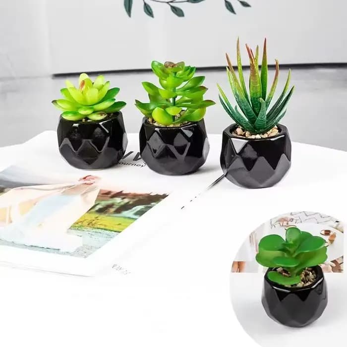 Plantes bonsaï succulentes artificielles avec Pot en poterie