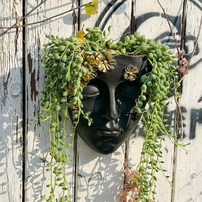 Pot de fleurs mural créatif en forme de visage