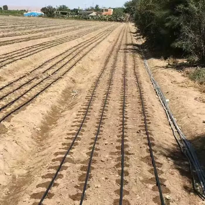Système d'arrosage et d'irrigation agricole, 1000M, ligne d'égouttement de 16mm, bande d'irrigation