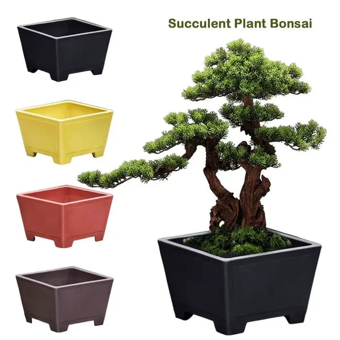 Pot de fleur en argile violette, simple et coloré, pour plantes succulentes, bonsaï, optique durable, support pour jardinage