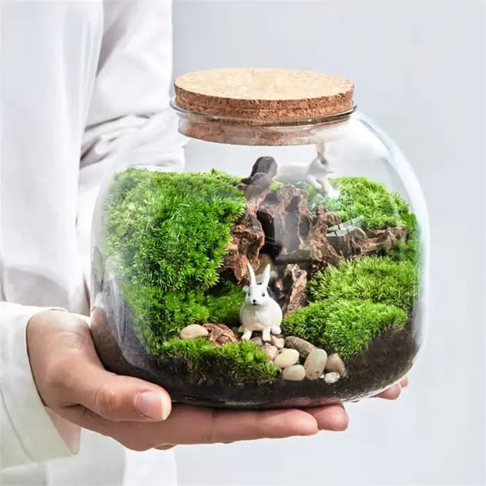 Micro paysage mousse Bryophyte Vase en verre avec liège vert frais mousse bouteille Terrarium en ver