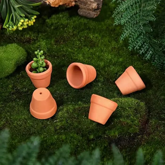 50 pièces minuscules Pots en terre cuite-1.3 pouces petits Mini