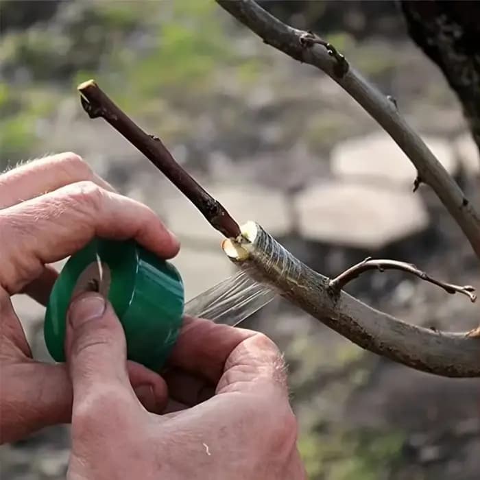 Ruban de greffage auto-adhésif en PE, film extensible pour arbres de jardin, plantes, semis, vignes,