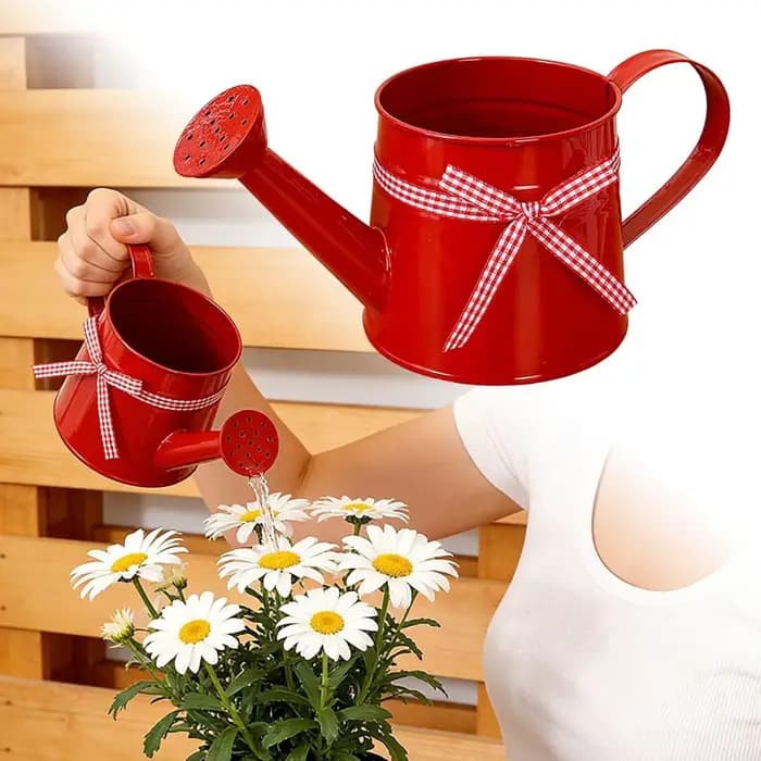 Petite Arrosoir 1L avec Tête de Pulvérisation et Ruban Gingham – Arrosoirs Modernes pour Plantes