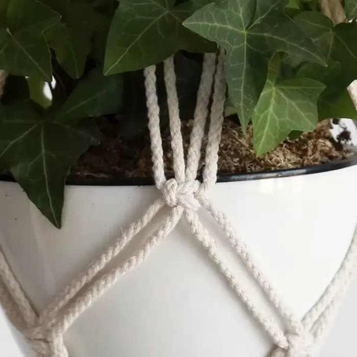 ConfronPlant-Cintre de plante en macramé fait à la main