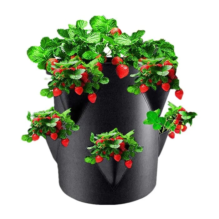 Sac de plantation de fraises de 7 gallons avec 6 poches latérales, sacs de culture portables pour tomates, pots de plantation de fraises