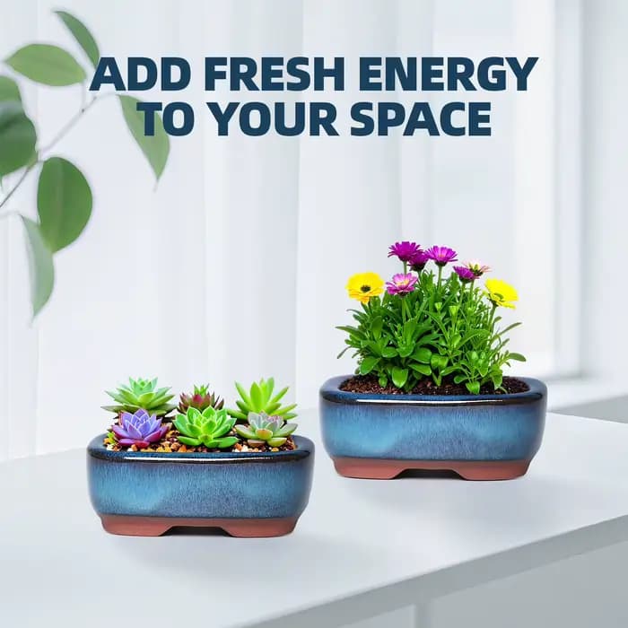 Pot de fleurs en céramique, jardinière succulente créative avec trou de vidange, Pots de bonsaï de S