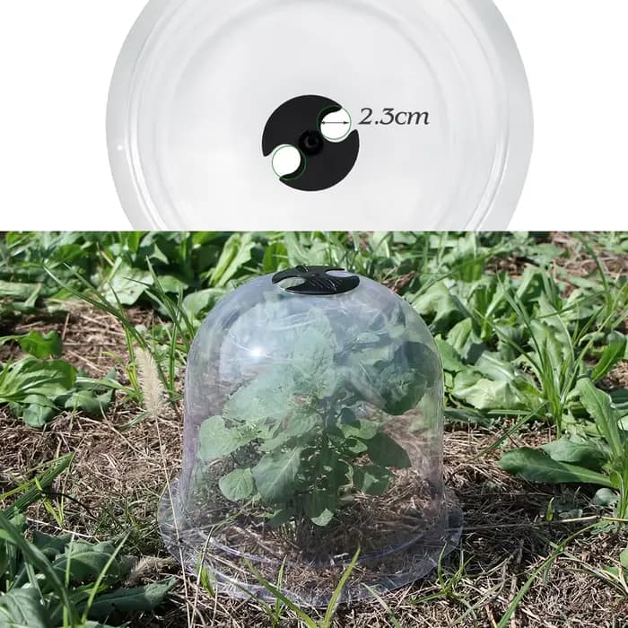 Couverture de protection des plantes réutilisable avec piquets métalliques, mini serre, couverture d