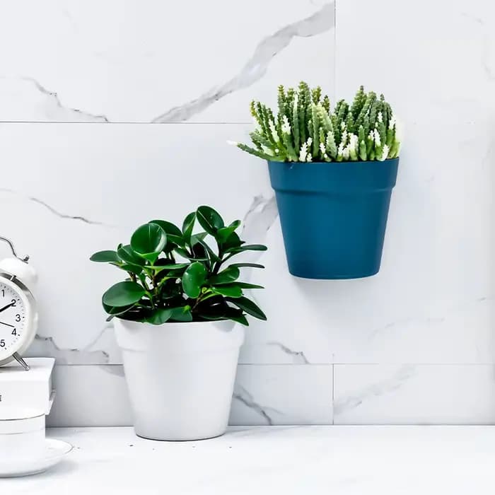 Pots de fleurs muraux en plastique pour la décoration intérieure, jardinière semi-circulaire, orneme