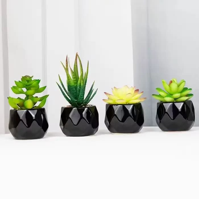 Plantes bonsaï succulentes artificielles avec Pot en poterie