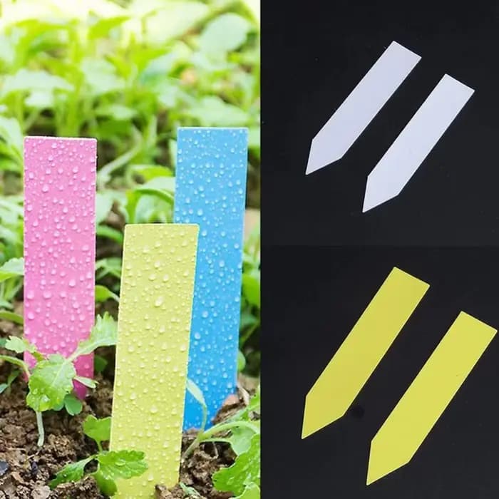 Étiquettes en plastique pour plantes de jardin, 5x1cm, 500 pièces, marqueurs de pépinière, pots de f