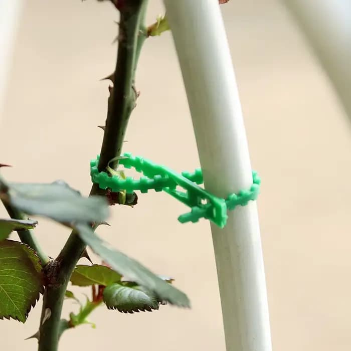Attaches de câbles de jardin réutilisables, 50/100 pièces, Support de plantes, attaches d'arbustes,