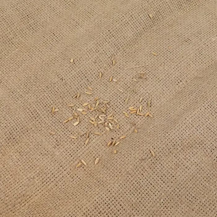 Sacs réutilisables en toile de jute pour le jardinage, la plantation, le stockage des aliments, les