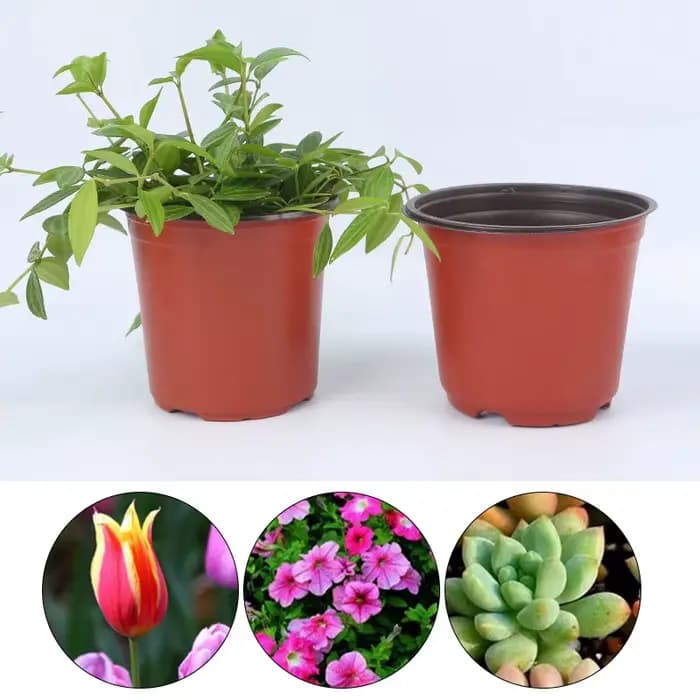 Pot de fleurs en plastique pour culture de plantes succulentes