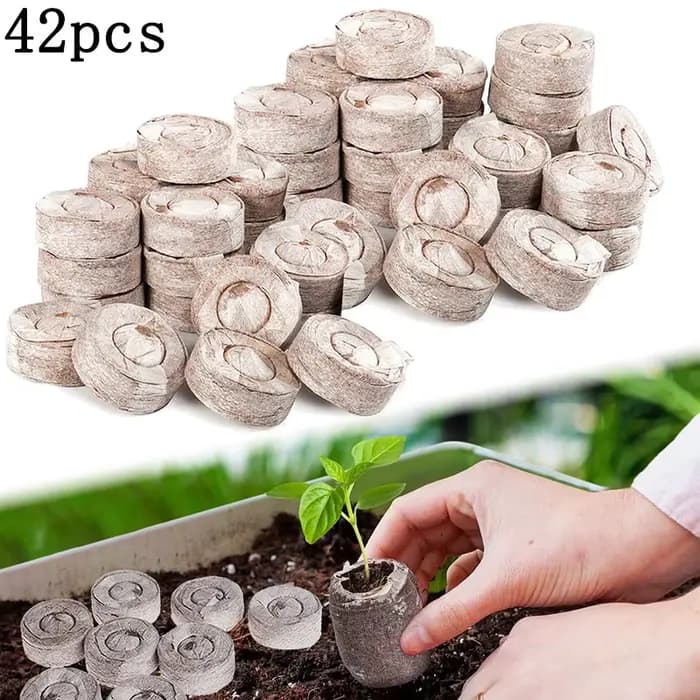 42 pastilles de semis de plantes de 30 mm, coupelles de semis pour légumes, fleurs, bonsaïs, accesso