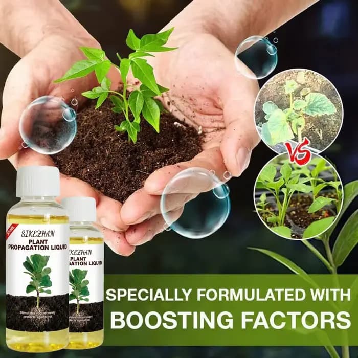 Hormone liquide d'enracinement rapide pour la propagation des plantes, solution pour favoriser la cr