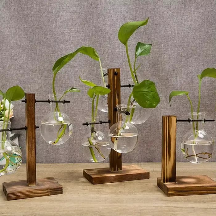 Pot de fleur Vintage, cadre en bois Transparent