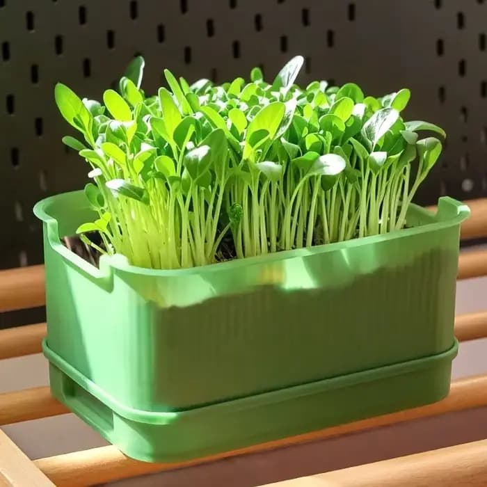 Pot de plantation en plastique pour germination domestique, 1 à 3 pièces, germes de haricots jaunes, germes de haricots mungo, jardin, culture hors sol, Pot de semis