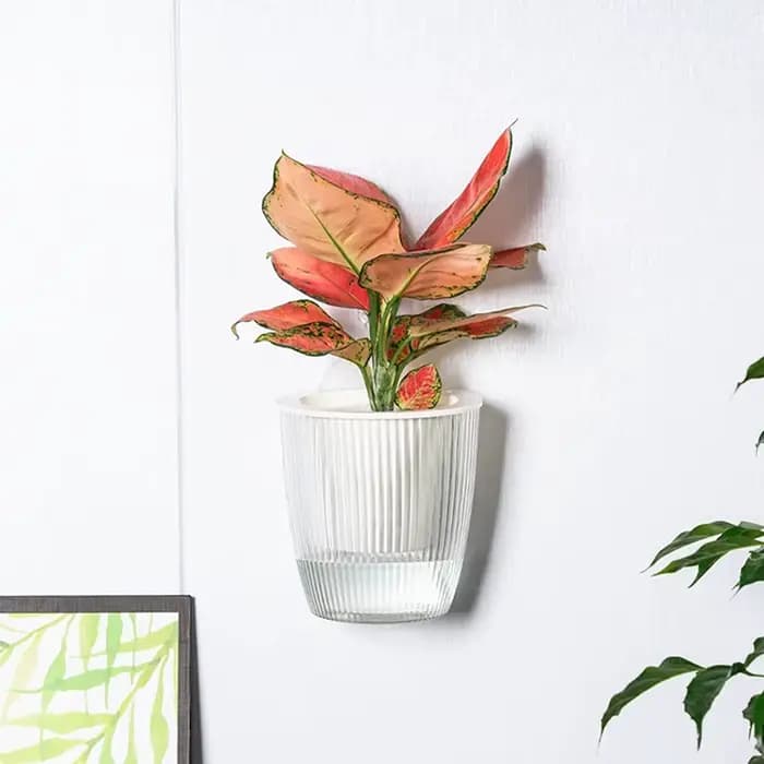Pot de fleurs mural multicolore, auto-absorbant, Pot de salon