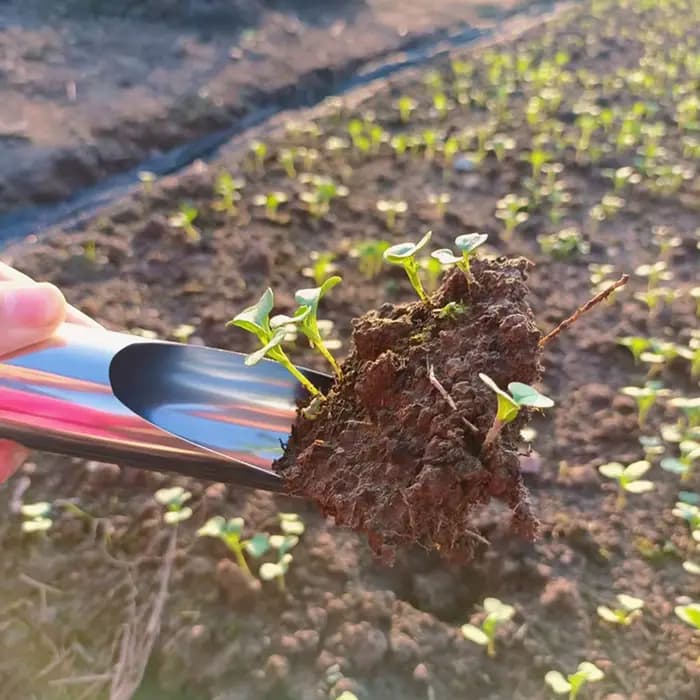 Seau de jardin en acier, outil de jardinage multifonctionnel, dragage de bonsaï, engrais, cuillère de plantation, transplantation, pelle à viande