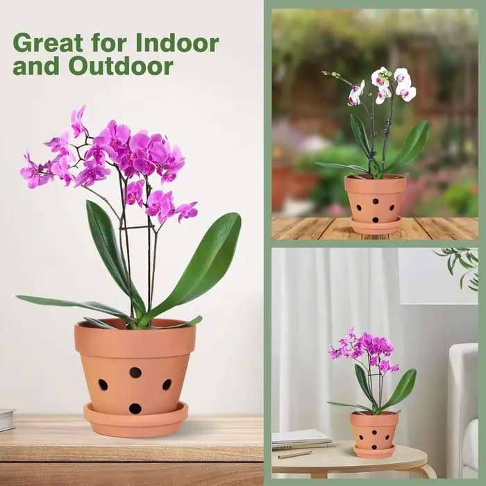 6 pots à orchidées en terre cuite de 4 pouces avec trous et soucoupes - Petits