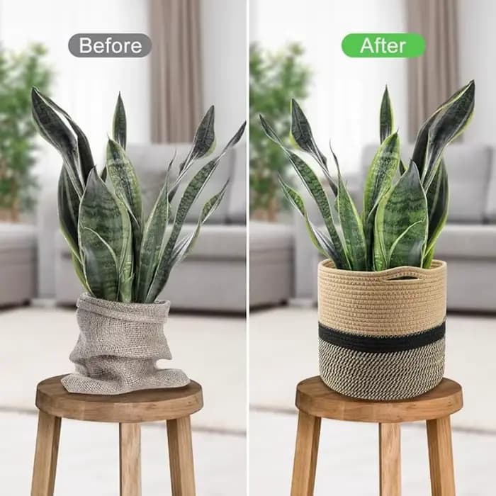 Panier à plantes en corde de coton épissé en Jute