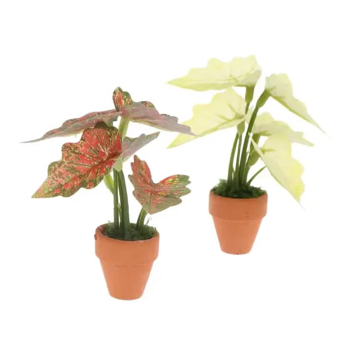 Miniature Plante en Pot Taro Vert 'Turtle Back' pour Maison de Poupées, Modèle de Plante Verte Miniature, Décoration de Jardin et Paysage pour Maison de Poupées, Jouet