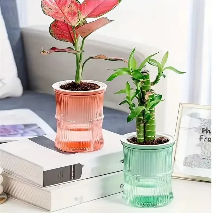 Pot de fleur hydroponique paresseux, Pot de fleurs automatique absorbant l'eau, Transparent, Double
