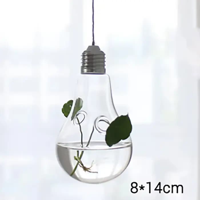 Vase en verre suspendu hydroponique