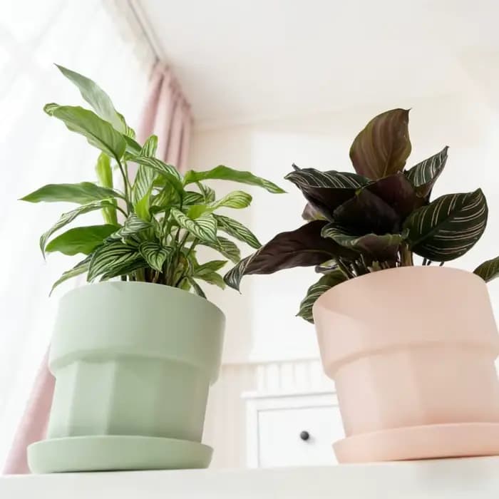Pot de fleurs en résine plastique grand format