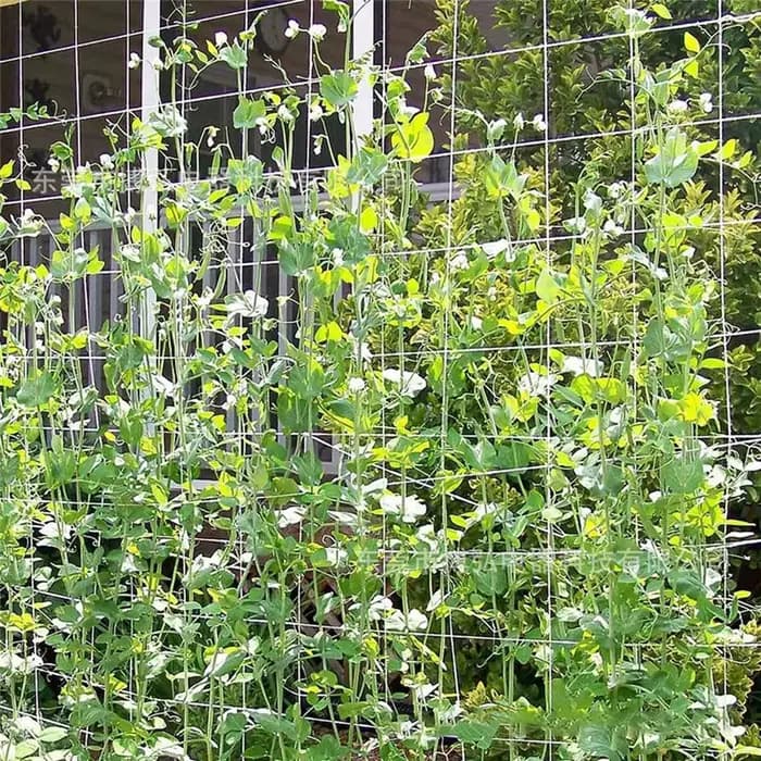 Filet en treillis pour plantes, support de plantes en polyester, escalade de vigne, accessoires de f