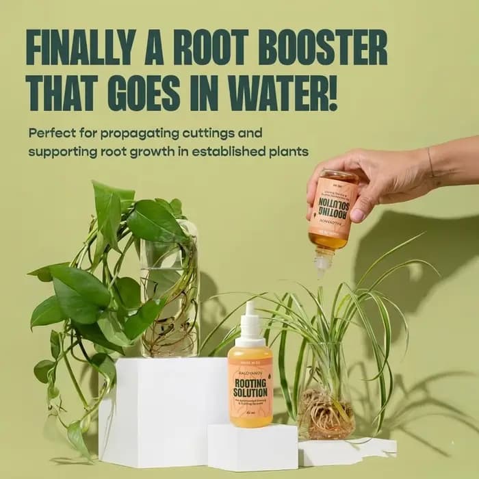 Root Drops Hormone d'enracinement liquide pour les boutures | Gouttes de propagation rapide pour tous les Pothos