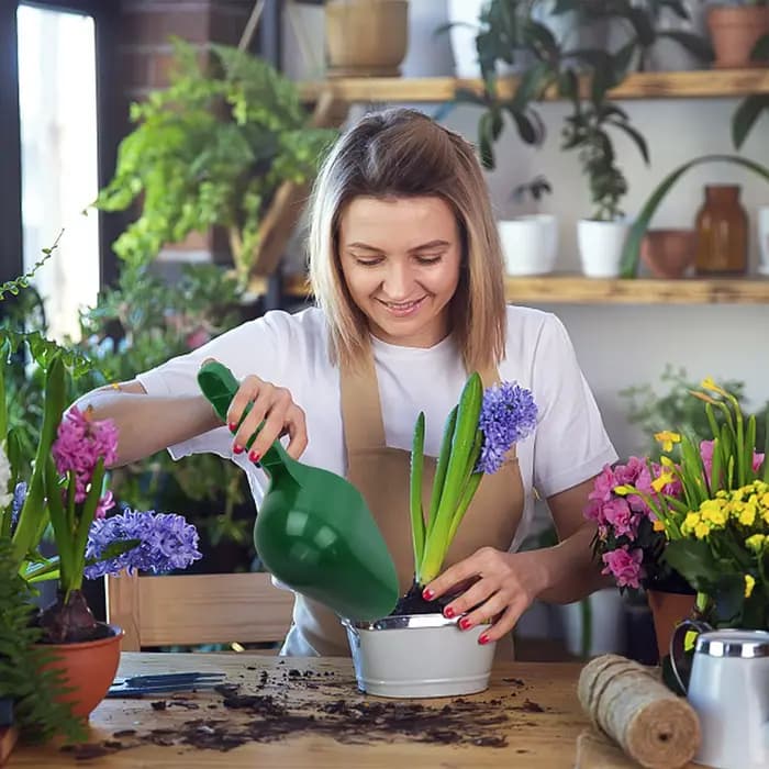 Bêche de jardin, bêche de plantation, bêches multifonctions pour le jardinage des fleurs et des légumes