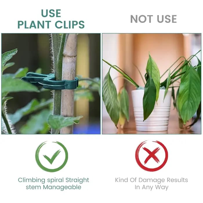 Clips fixes pour plantes 10-200, support de serre réutilisable pour fixer des tiges de fleurs, vigne
