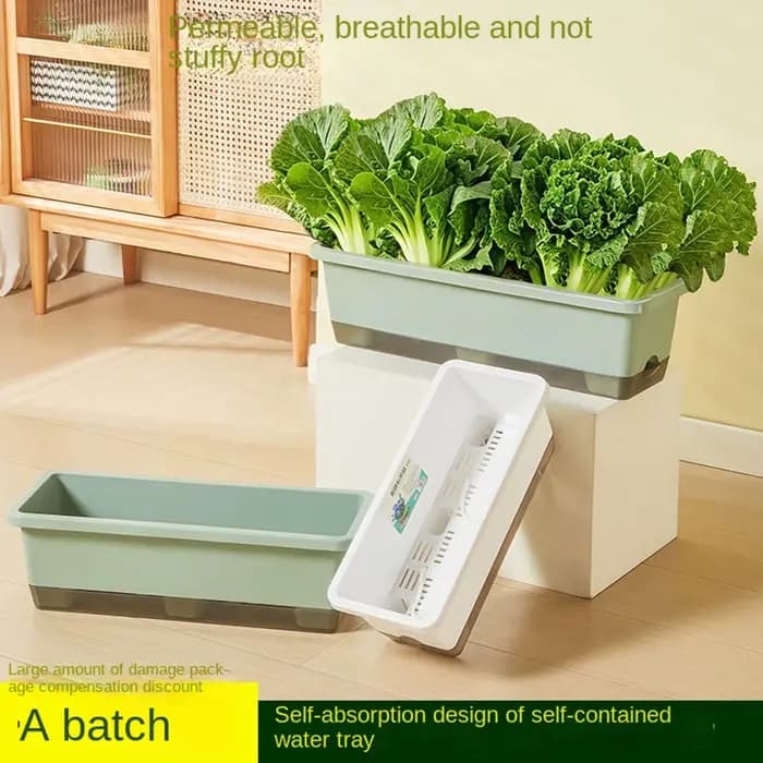 Pot de fleurs auto-absorbant pour culture de légumes d'intérieur avec trou de drainage et corde absorbante