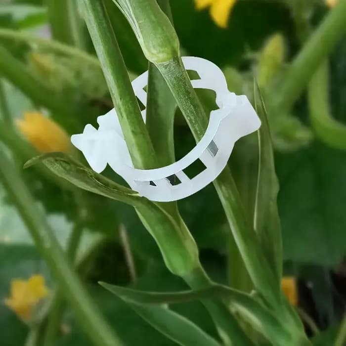 Clips de maintien de vigne réutilisables en plastique