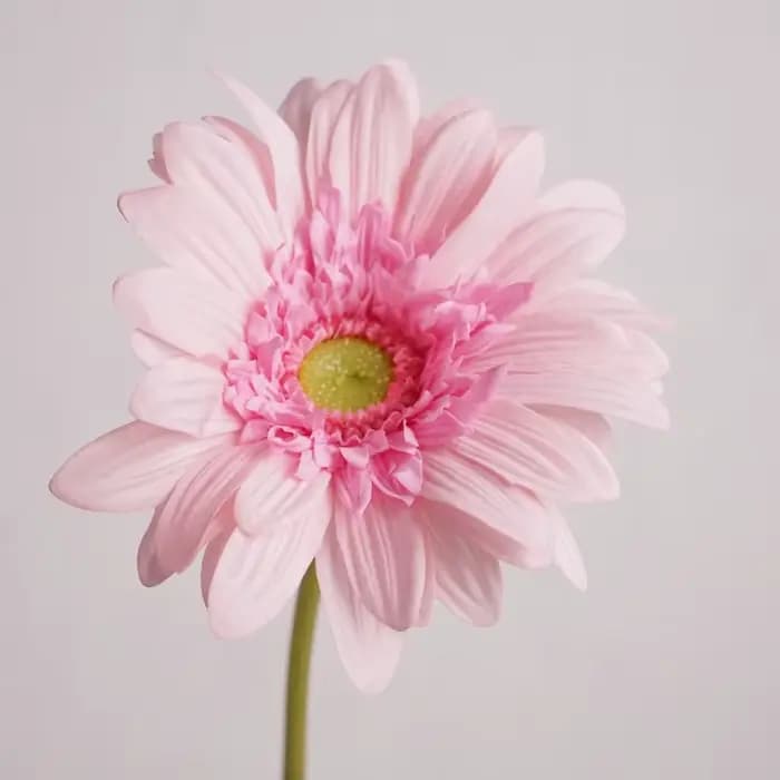 Gerbera-Fleurs Artificielles Hydratantes au Toucher Réel