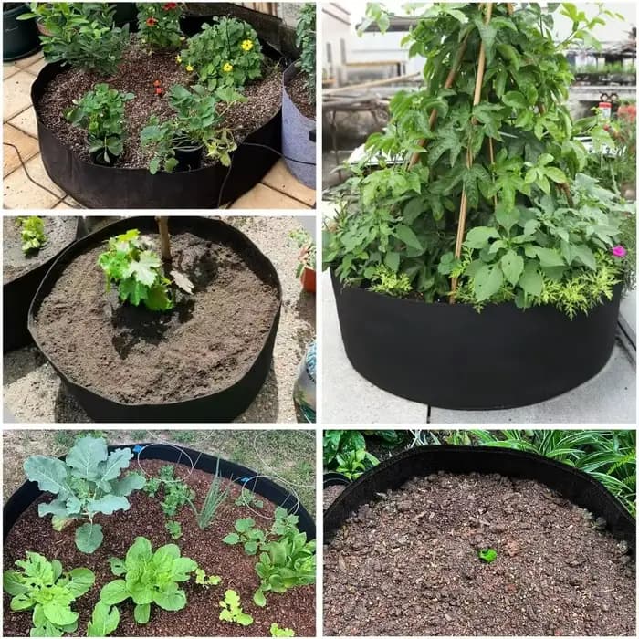 Récipient de plantation en feutre avec sac de jardin Foy, outils de jardin, 10 gallons, 30 gallons,