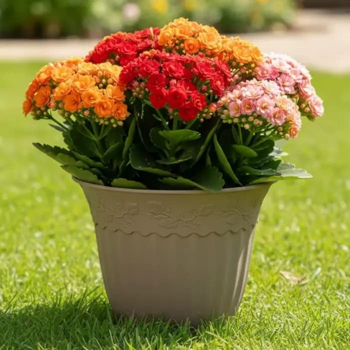 Pot de fleurs en plastique de 8 pouces avec trous de drainage, pot de fleurs européen pour balcons, jardins, plantes d'intérieur, plantation en jardin