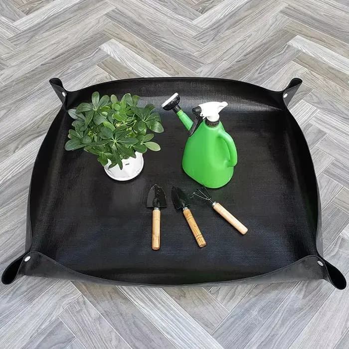 Polymères de régénération des plantes, pots de fleurs imperméables, tampon de repiquage, contrôle du
