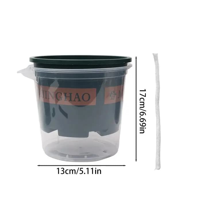Pots de plantes verts transparents avec trou de drainage