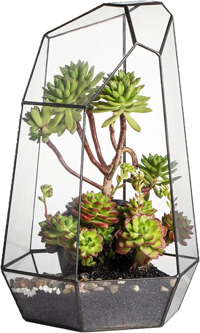 Jardinière en verre pour décoration de jardin de maison, grand Pot de fleur irrégulier fait à la mai