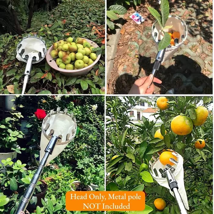Outil de cueillette de fruits, outil de cueillette de cerises en métal, tête de panier de cueilleur