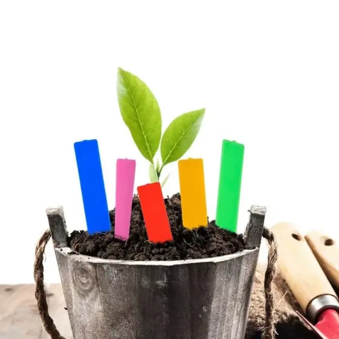 Étiquettes en plastique pour plantes de jardin, 5x1cm, 500 pièces, marqueurs de pépinière, pots de f