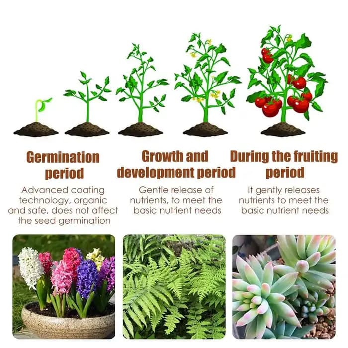Engrais à libération lente contrôlé spécial 120 jours pour plantes succulentes
