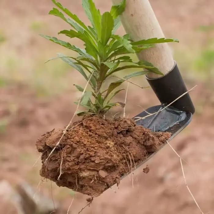 Houe de jardin durable pour vecle sol et planter des fleurs, houe de désherbage domestique, outils d